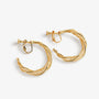 A pair of gold hoop earrings with a textured, twisted design and screwback closures, displayed on a clean white background.