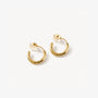 Gold hoop earrings centers on a white background