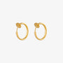 Gold mini hoop clip-on earrings front view on white background, featuring polished finish and small disc detail