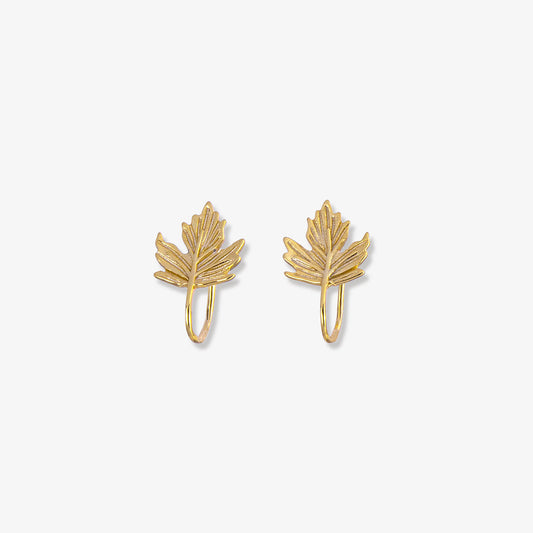 Showcase of the gold-plated sterling silver finish on the Maple Leaf Cuff Earrings.