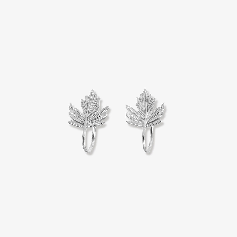 Pair of Sterling Silver Maple Leaf Cuff Earrings in White Gold displayed on a soft beige background.