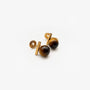 Tiger's Eye clip on earrings with gold accents displayed on white surface 