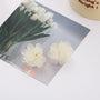 White flower clip on earrings displayed on product card with tulip image and gold accents