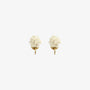 A pair of dainty white flower clip-on earrings with gold-tone mosquito coil backs, shown isolated on a white background.
