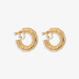 Une paire de boucles d'oreilles créoles en bambou doré à clip et fermoir à vis sur fond blanc
