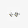 Regal Two-Tone Clip On Earrings on white background
